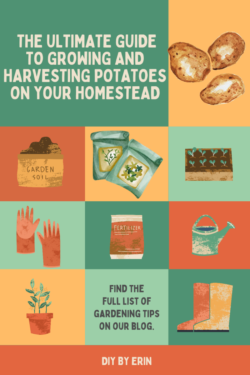The Ultimate Guide to Growing and Harvesting Potatoes on Your Homestead