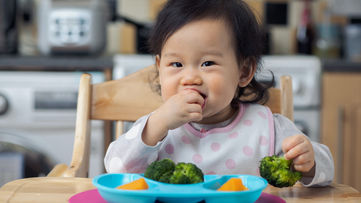 Genius Baby Figures Out How to Make Saying Grace Over Faster ...