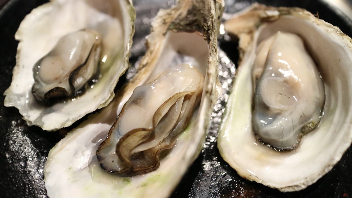 Thomas Downing: New York's Oyster King