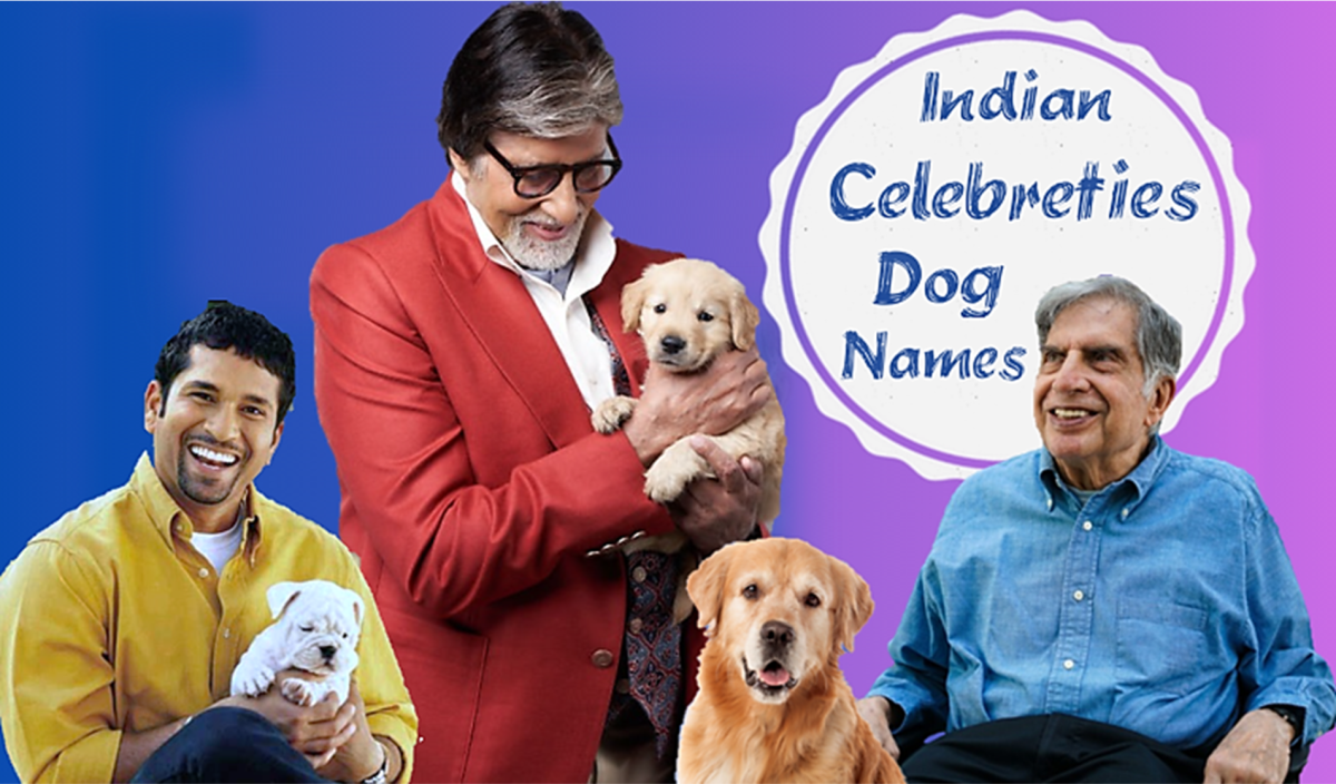 100+ Dog Names Inspired By Indian Celebrity Dog Names
