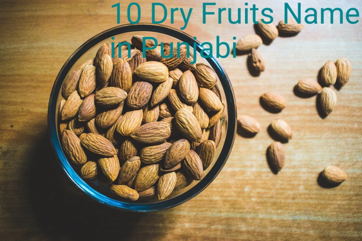 10 Dry Fruits Name in Punjabi for English Readers