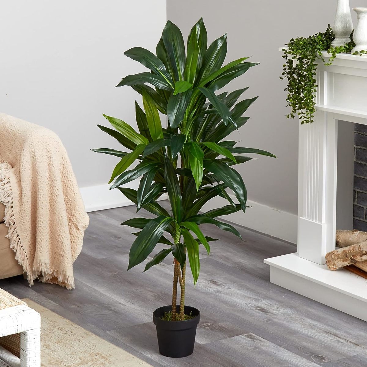 Breathe Life into Your Space with the Nearly Natural Real Touch Dracaena Plant