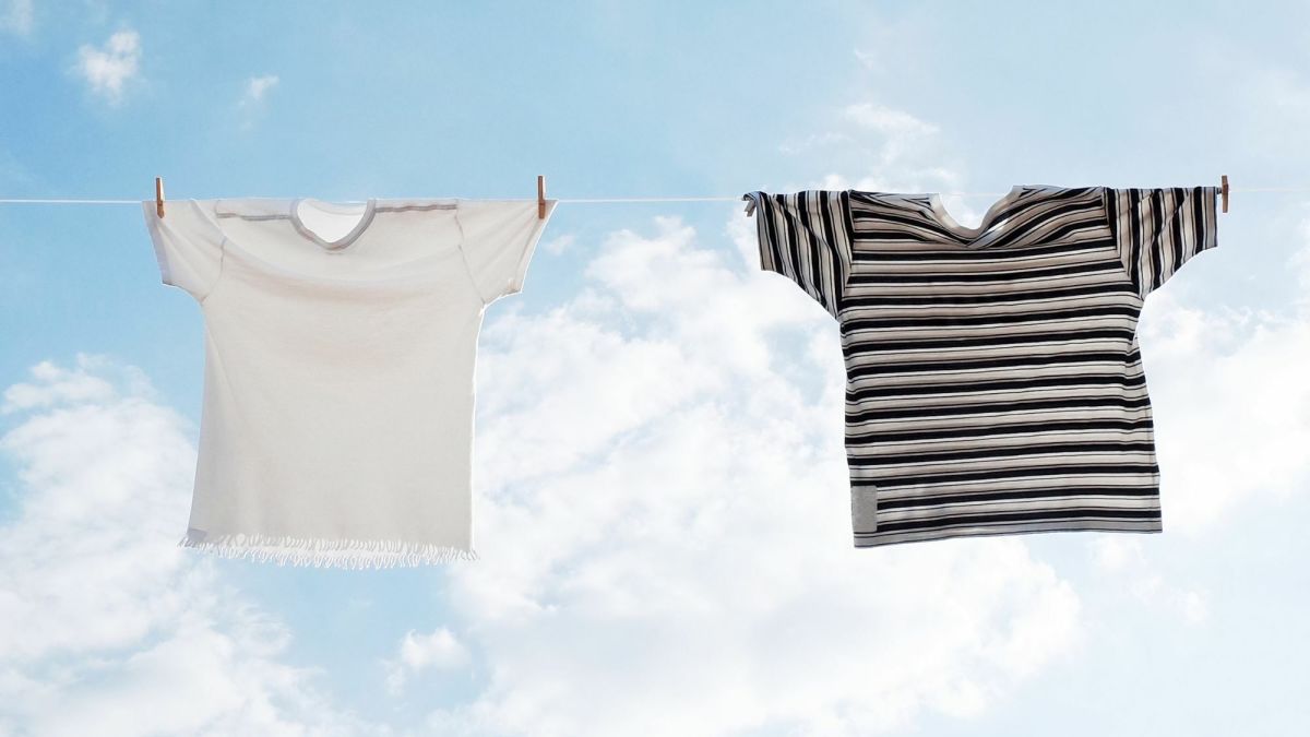Harness the power of the sun to get fresh-smelling clothes without washing.