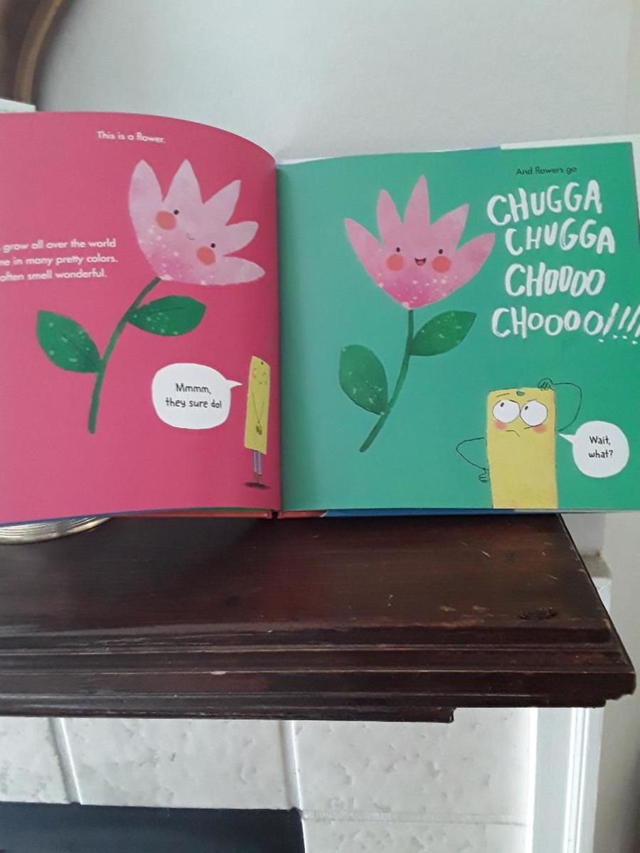 Words in a Book Could Be Wrong as Described in Hilarious Picture Book ...