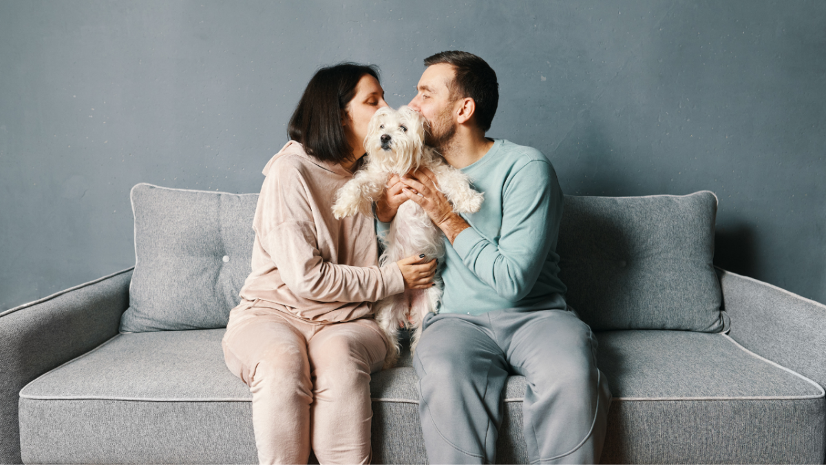Do Dogs Get Jealous of Spouses?