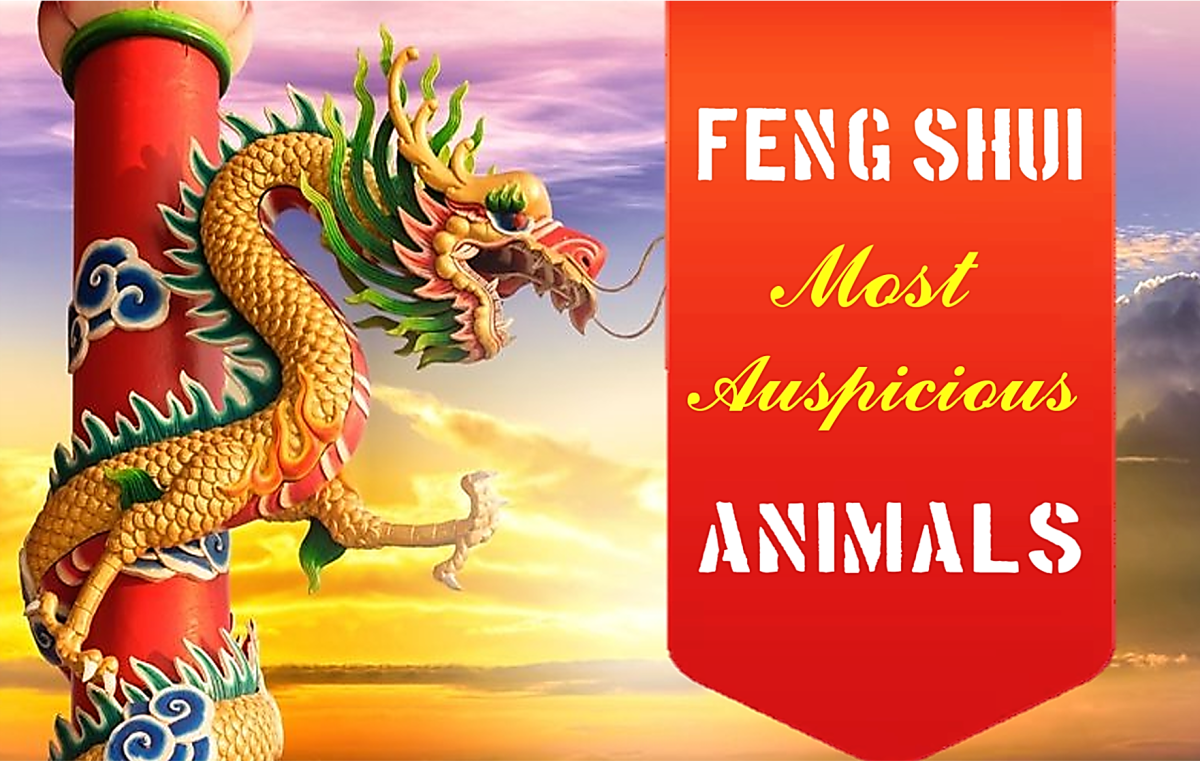 11 Most Auspicious Feng Shui Animals