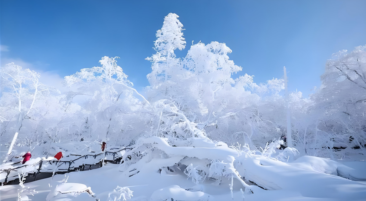 White Snow - LetterPile
