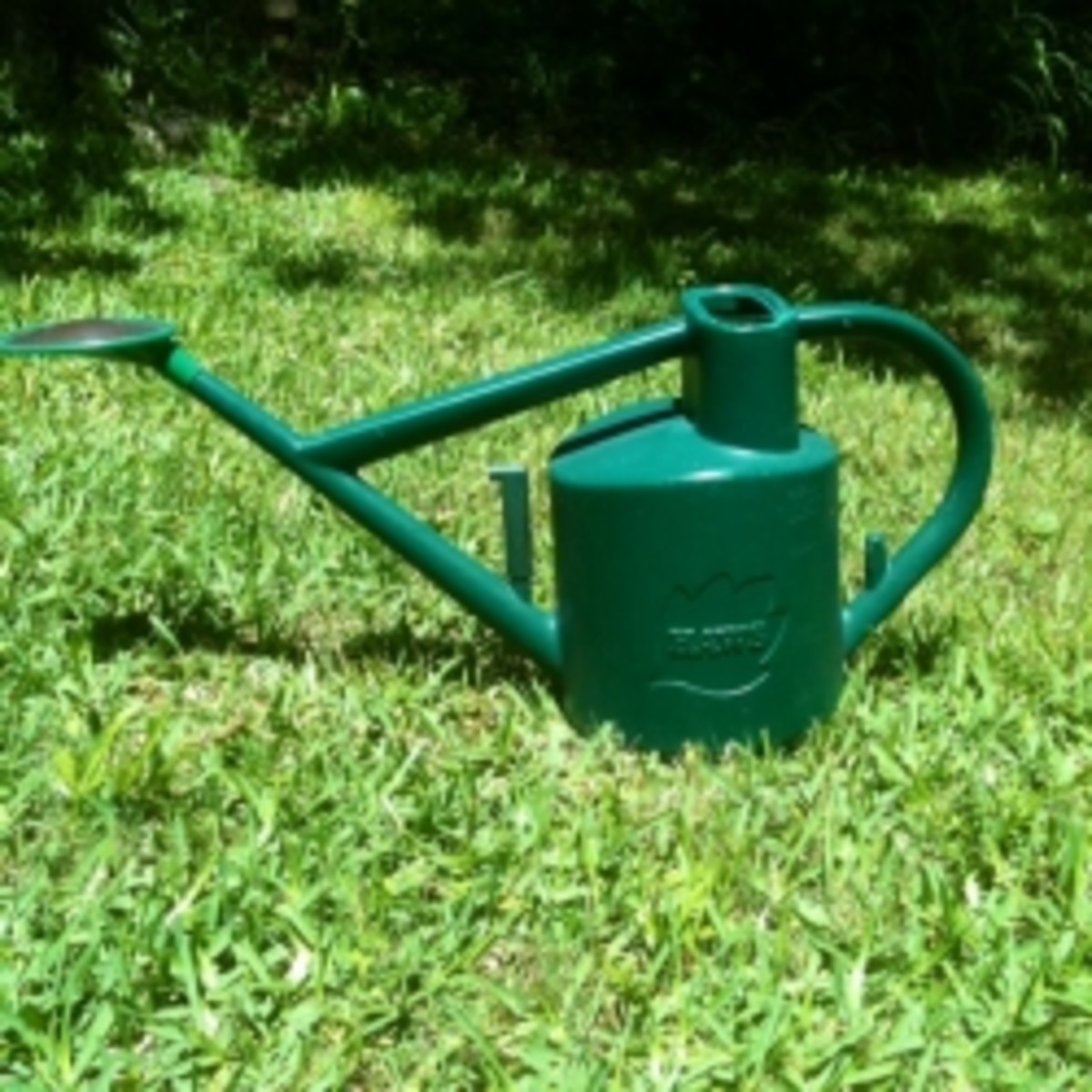 The Best Watering Can for your Home and Garden