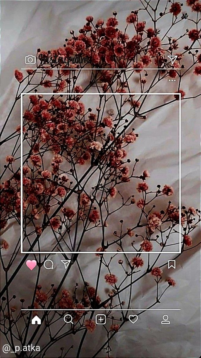 Unique Instagram Captions