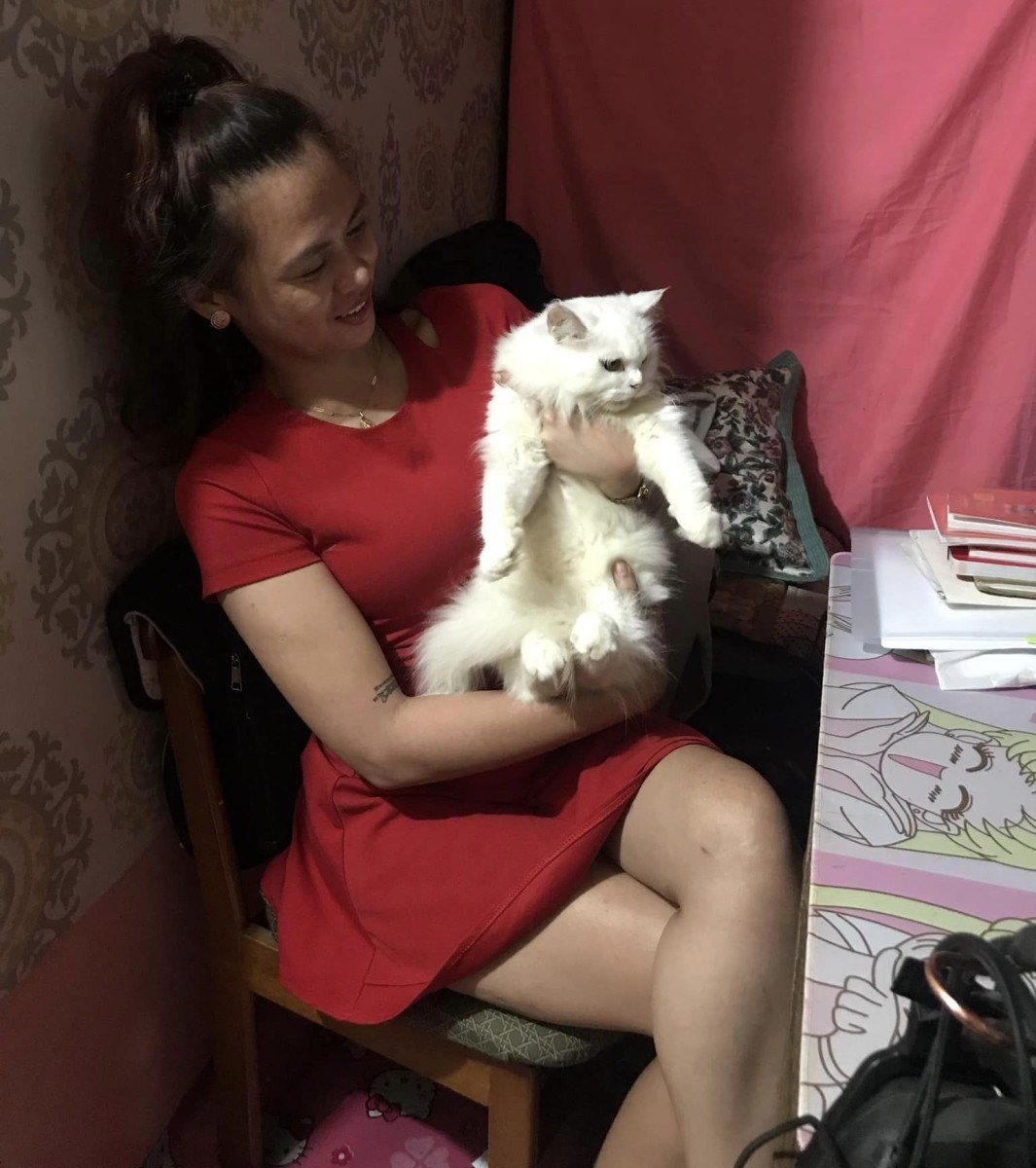 Purrfect Companionship: The Surprising Advantages of Having a Pet Cat
