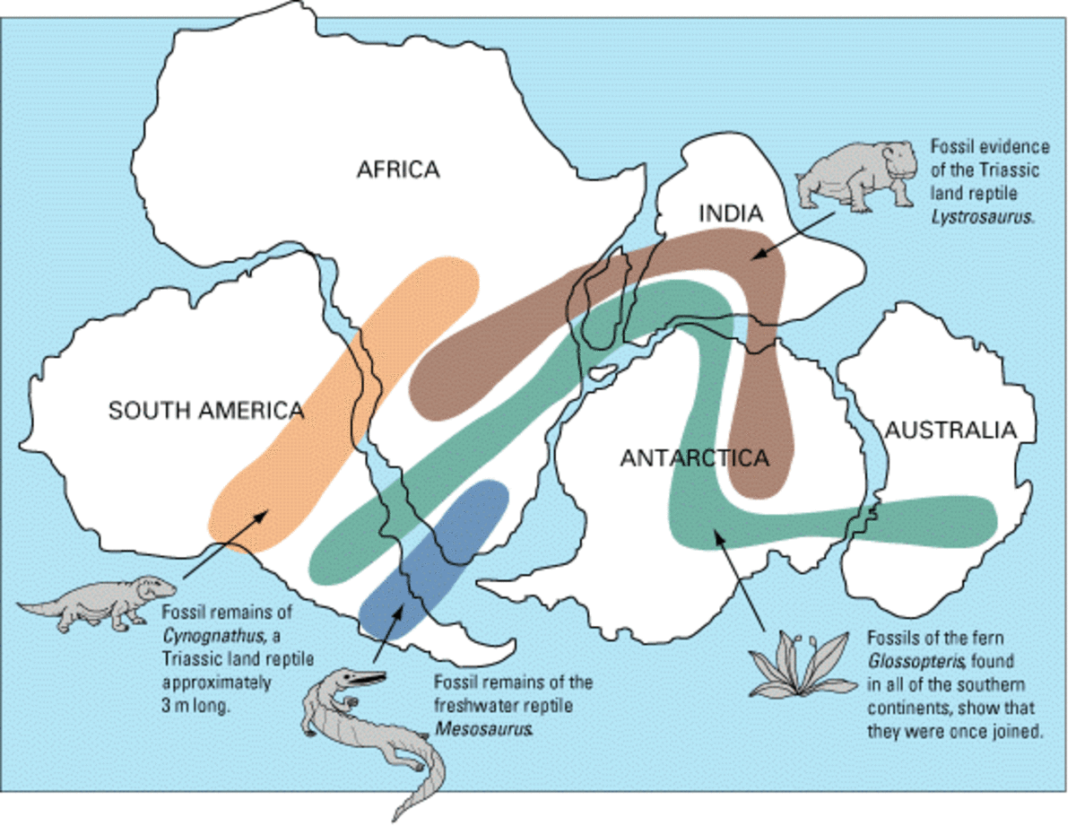 Evidences of Continental Drift Theory - HubPages