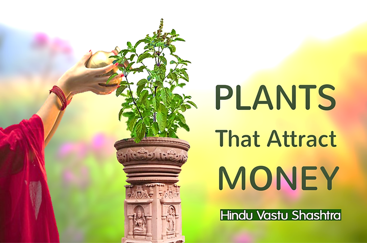 11 Hindu Vastu Plants That Attract Wealth