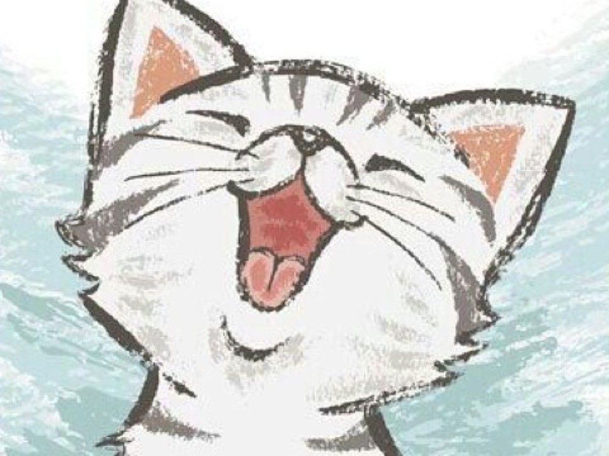 How To Solve Relationship Problems Without Breaking Up - HubPages