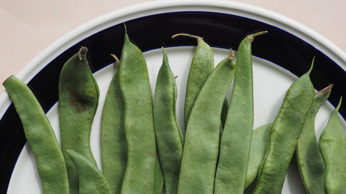 How to Grow Mangetout or Sugar Peas (Plus Stir-Fry Recipes)