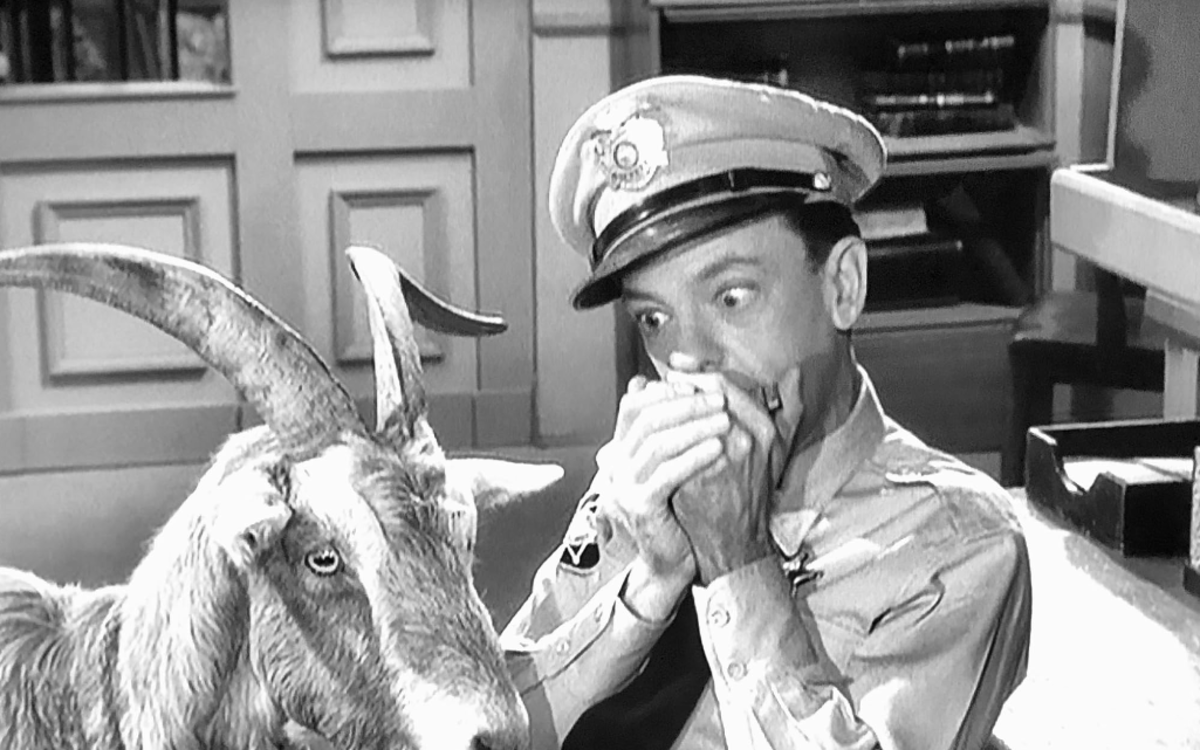 Jimmy the Loaded Goat on The Andy Griffith Show