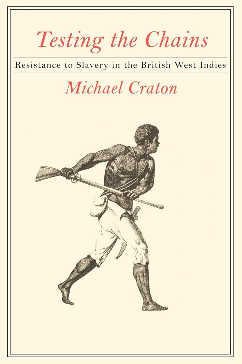 Testing the Chains: Resistance to Slavery in the British West Indies Review