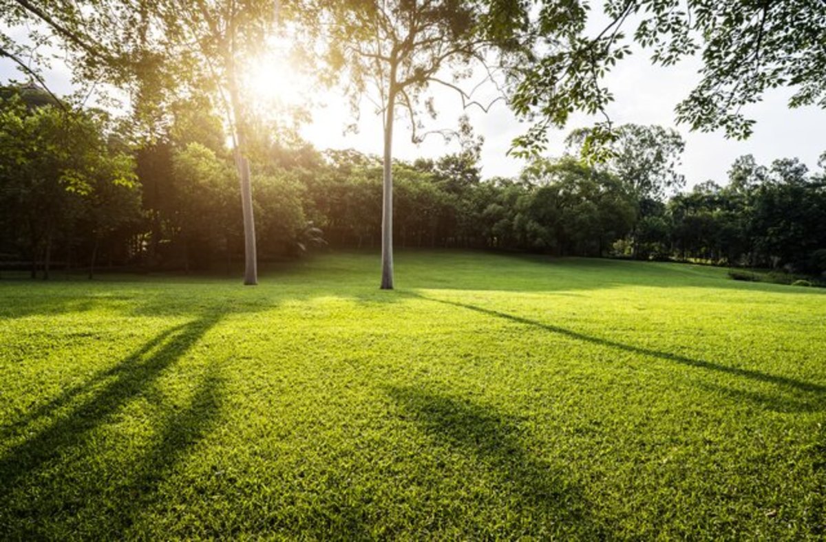 Song Example with a Great Hook LetterPile