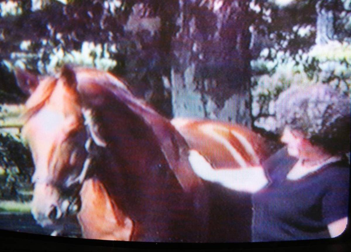 The Day I Touched Secretariat