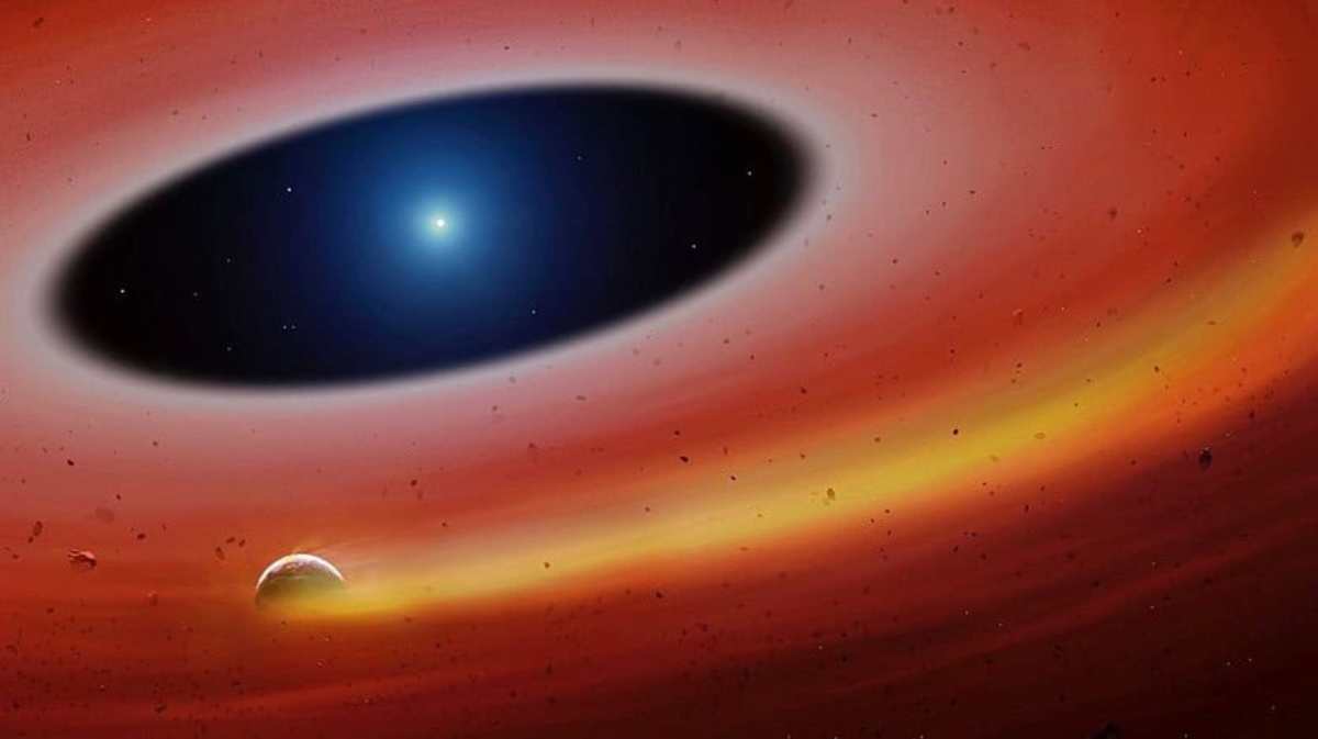 What Are Some Surprising Findings on White Dwarfs?