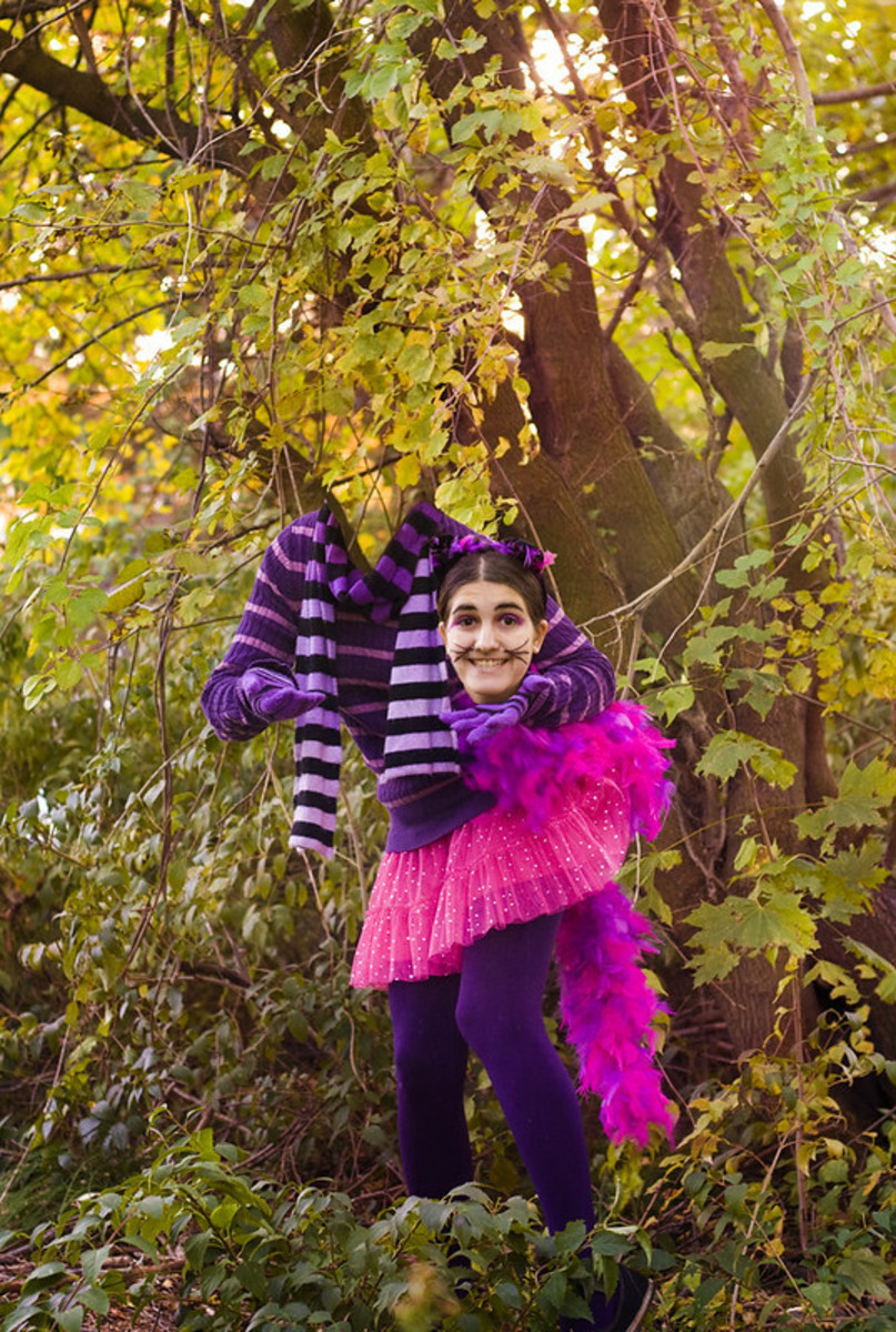 The Cheshire Cat Costume You've Been Looking For!