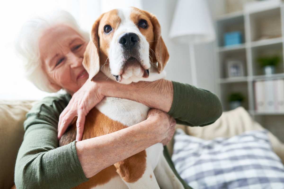 Pets as Lifesavers: Exploring the Cardiovascular Benefits for Seniors
