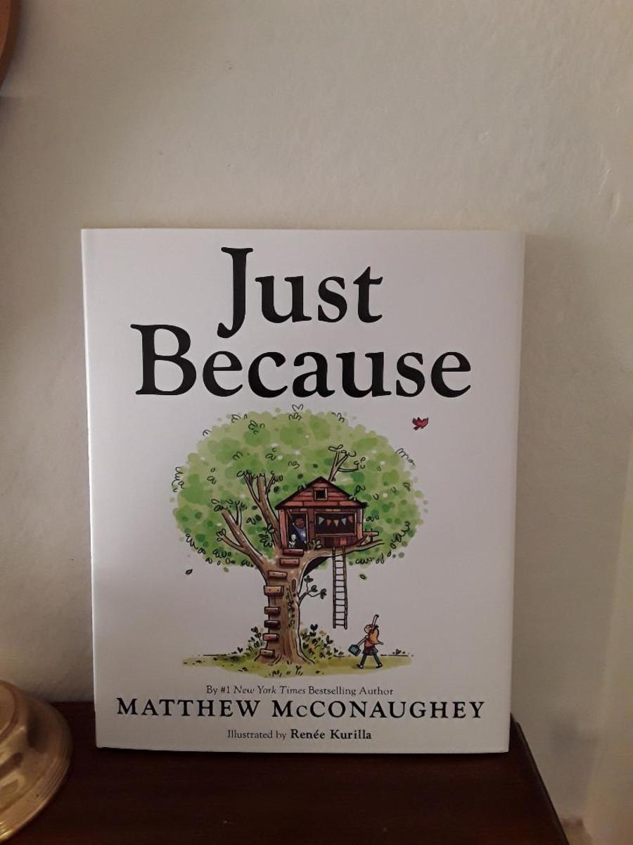 The Possibilities of What Can Happen in Delightful Picture Book With Celebrity Author Matthew McConaughey
