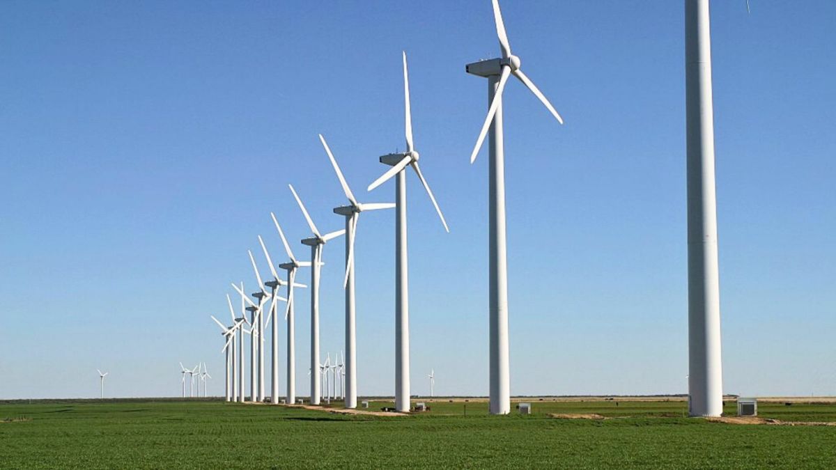 Georgia and Texas: Surprising Leaders in U.S. Clean and Renewable Energy