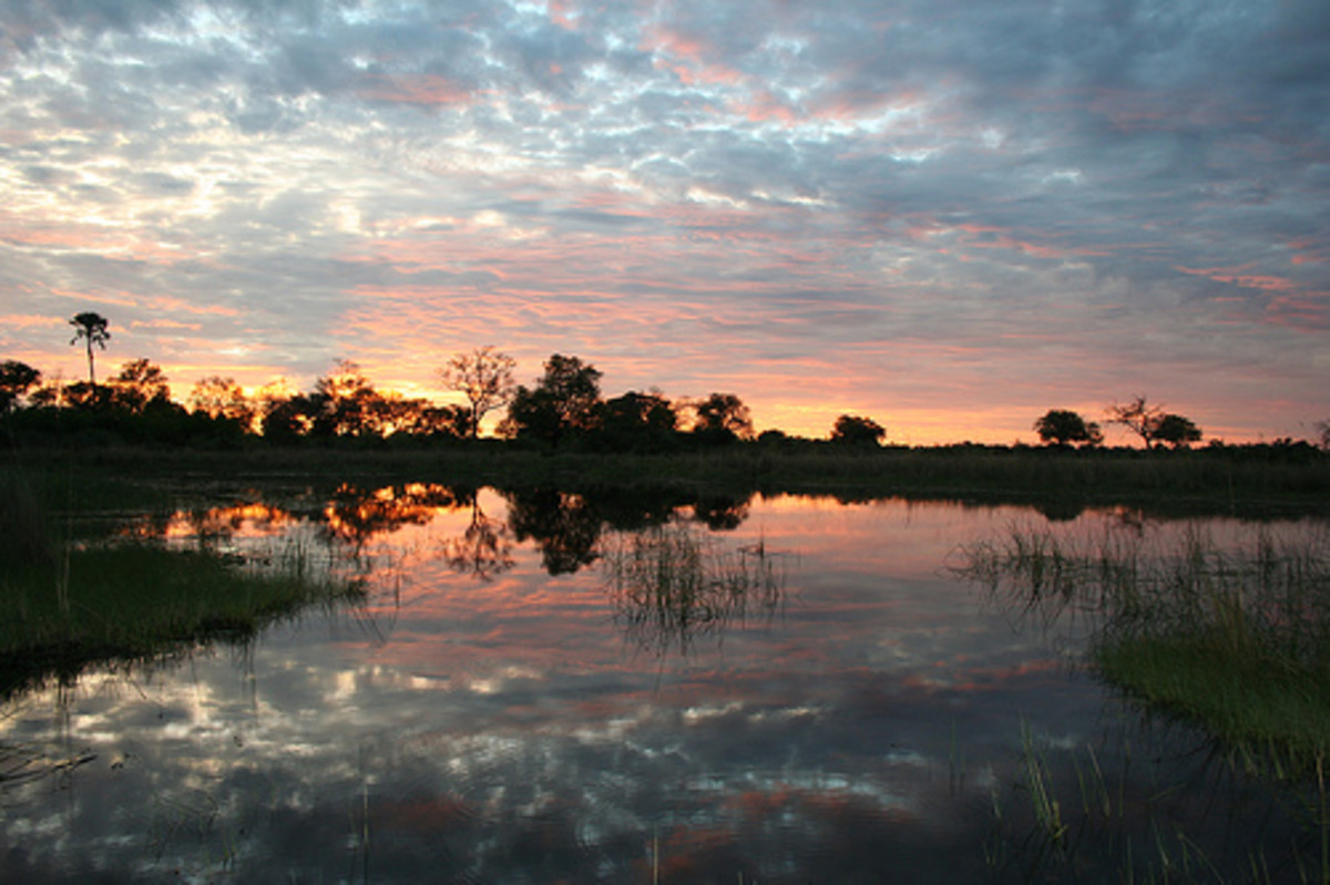 Kalahari Desert and the Okavango Delta