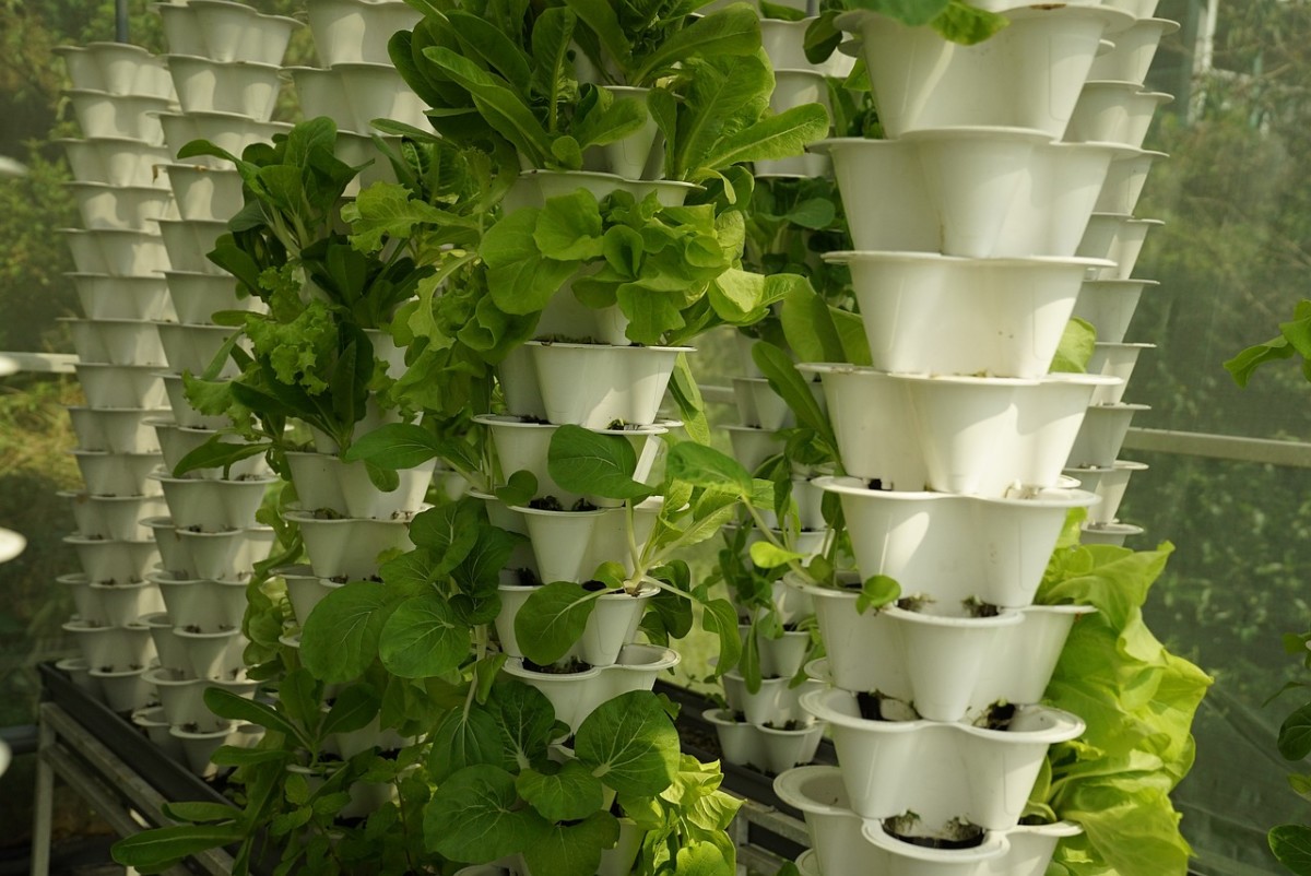 5 Fascinating Examples of Futuristic Farming Technology