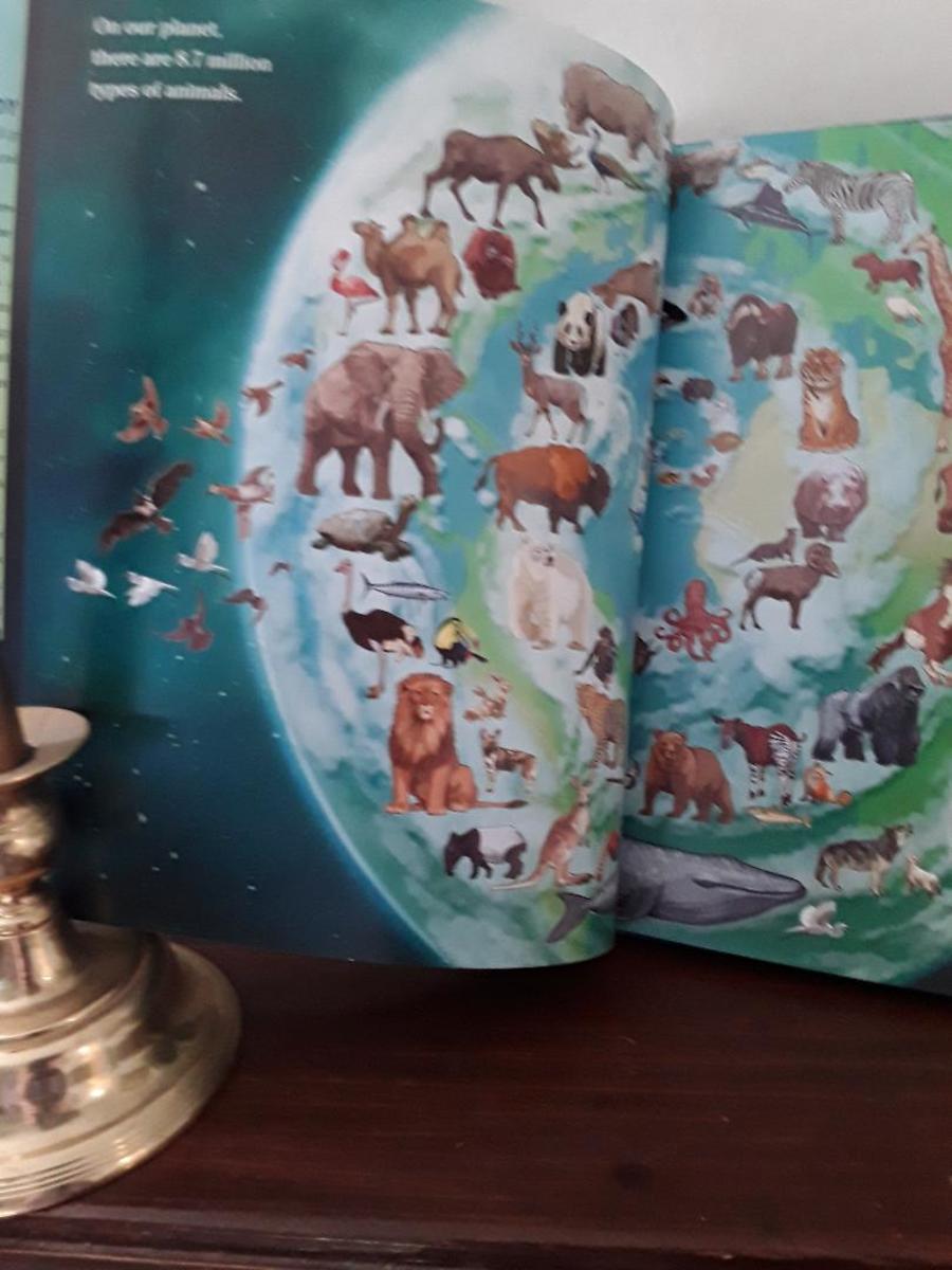 Naturalist Who Made a Difference to Our Planet-His Story in Gorgeous ...