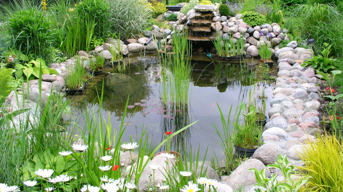 How do you make a water garden? 