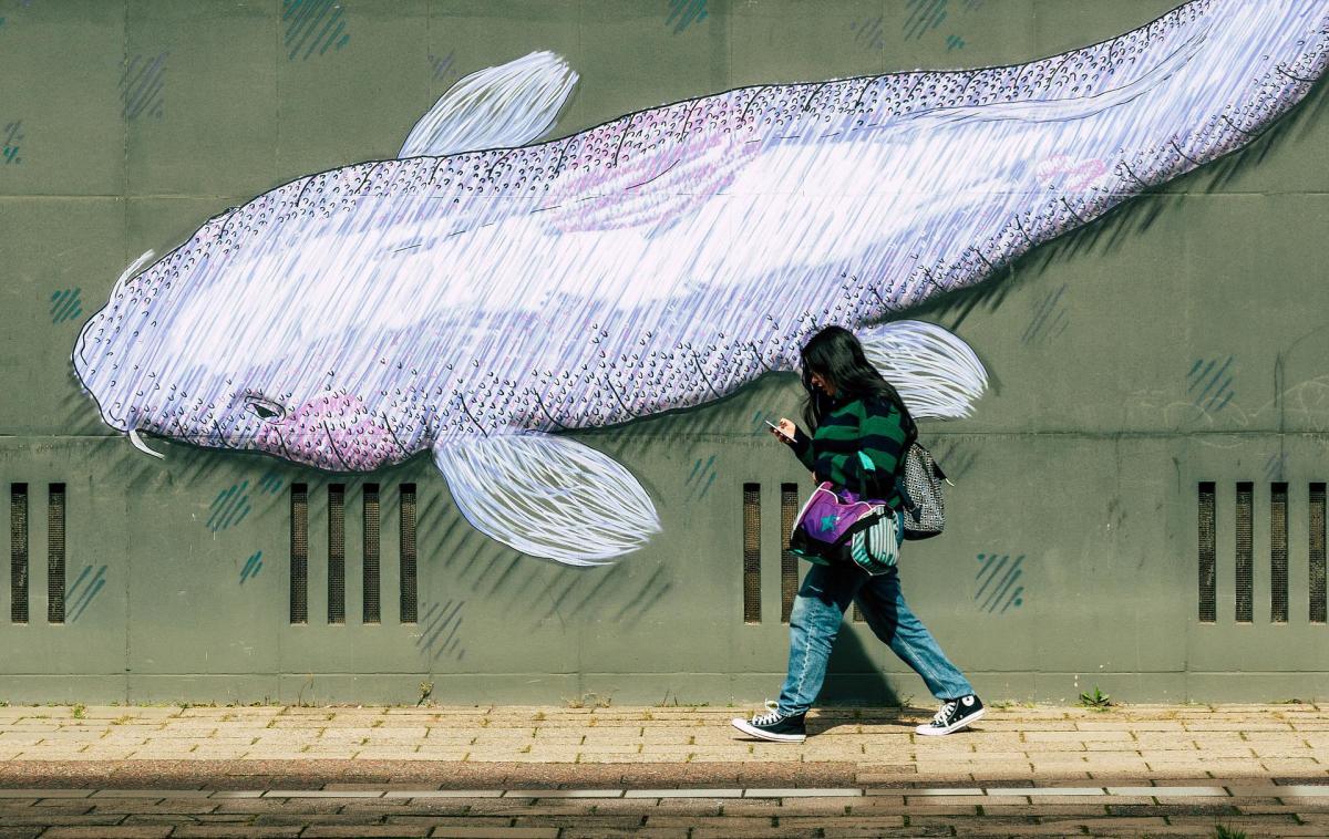 I Had Cannibal Fish - HubPages