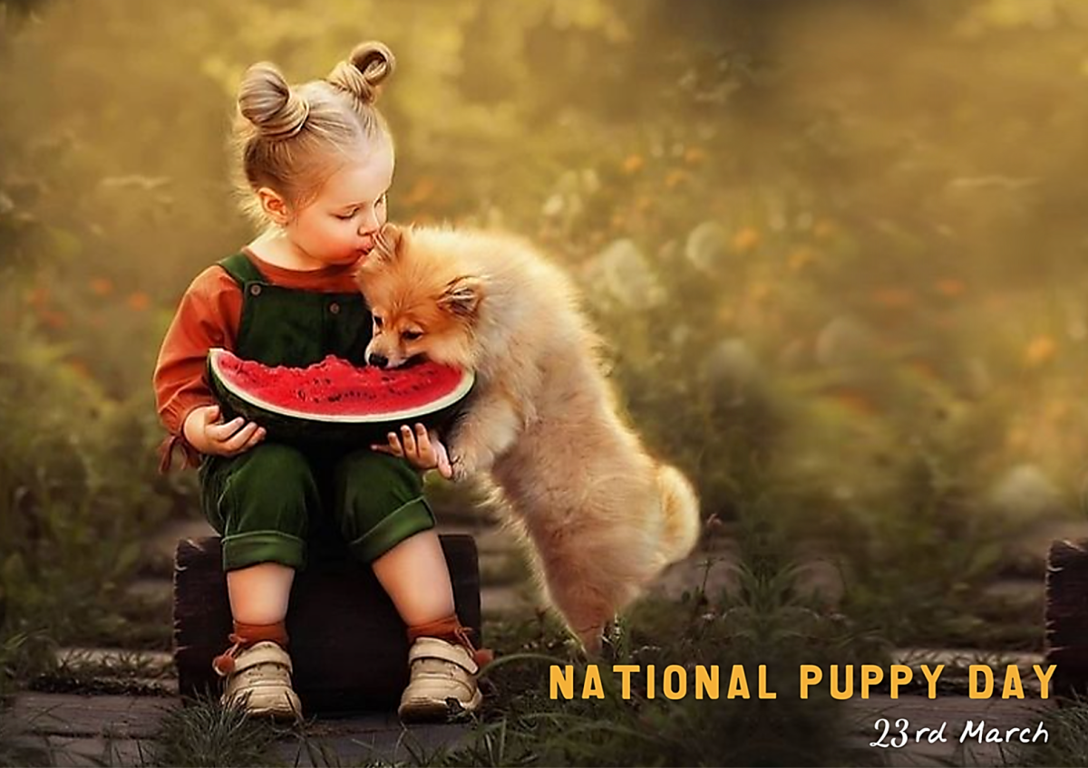 National Puppy Day: Best Puppy Day Wishes and Quotes
