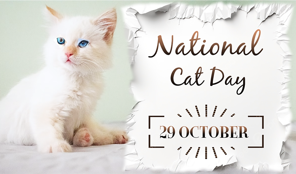 National Cat Day: Cat Day Quotes And Wishes