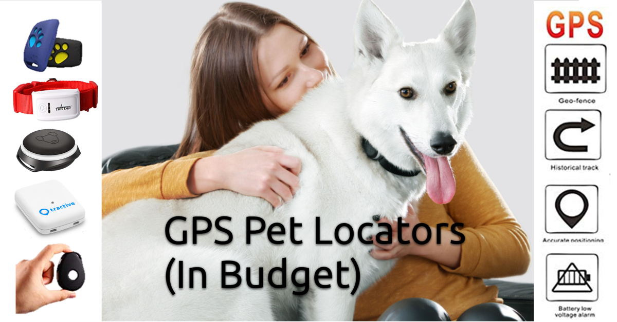 15 Cheap GPS Trackers For Pets