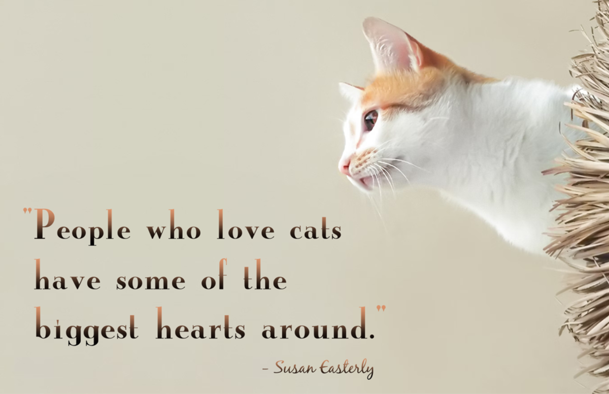 International Cat Day: 50+ Cat Day Quotes And Wishes - HubPages, image size:1200x776