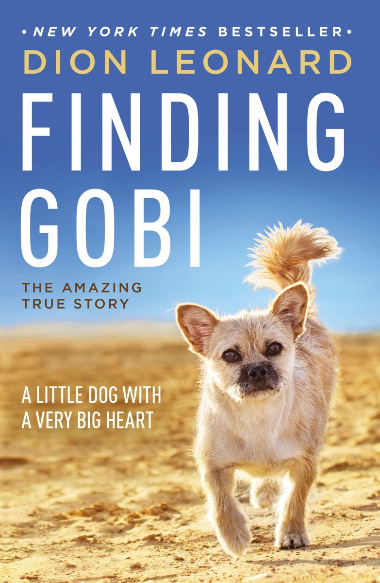 Finding Gobi Book Review