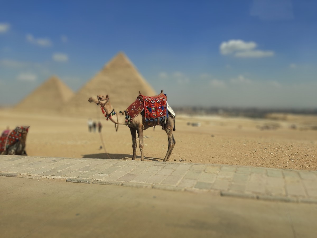 Can Women Stay Safe While Traveling Alone to Egypt?