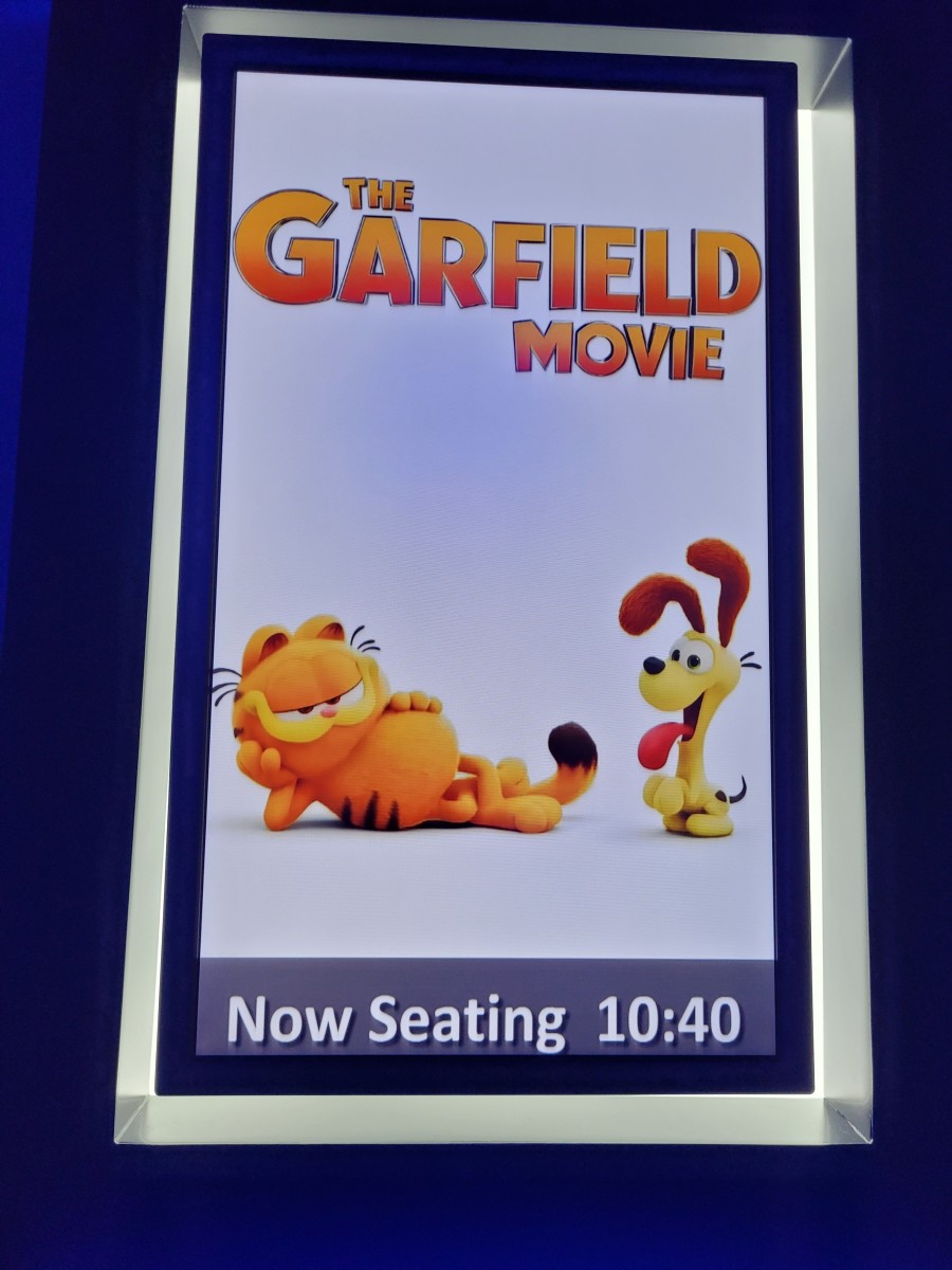 Garfield 2004 and 2024