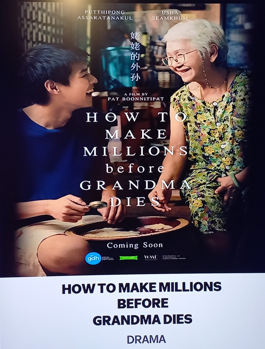 My Afterthoughts on How To Make Millions Before Grandma Dies Movie