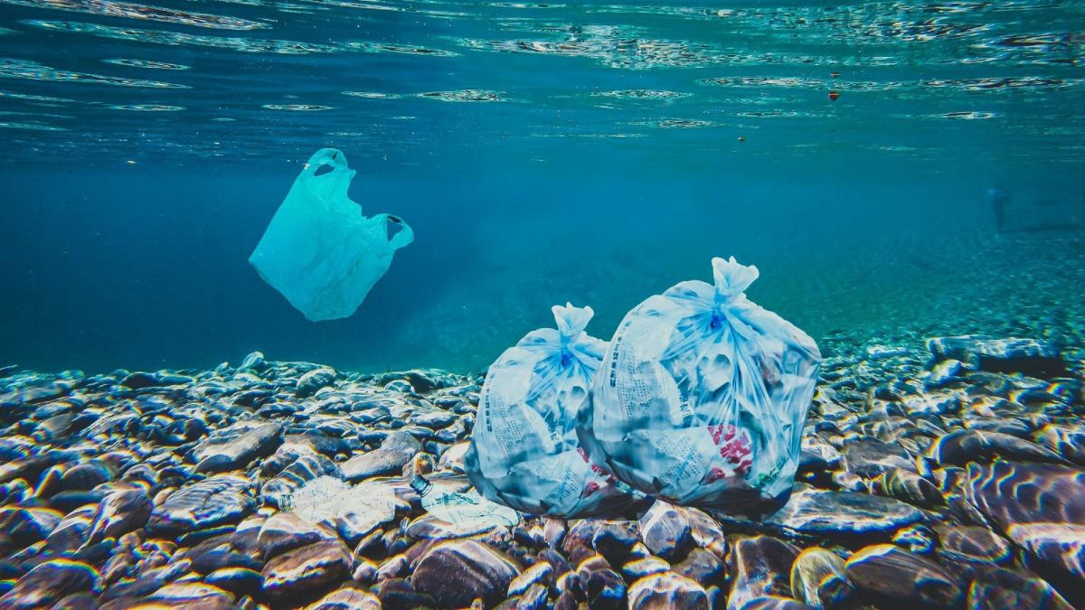 Plastic Waste in the Ocean and Possible Breakdown by Bacteria
