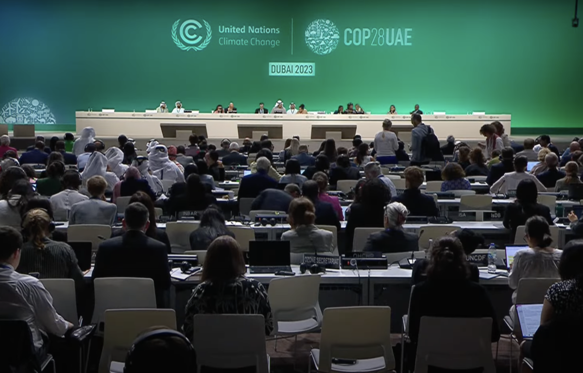 Voices From the Margins of Cop 28: They Must Guide Cop 29