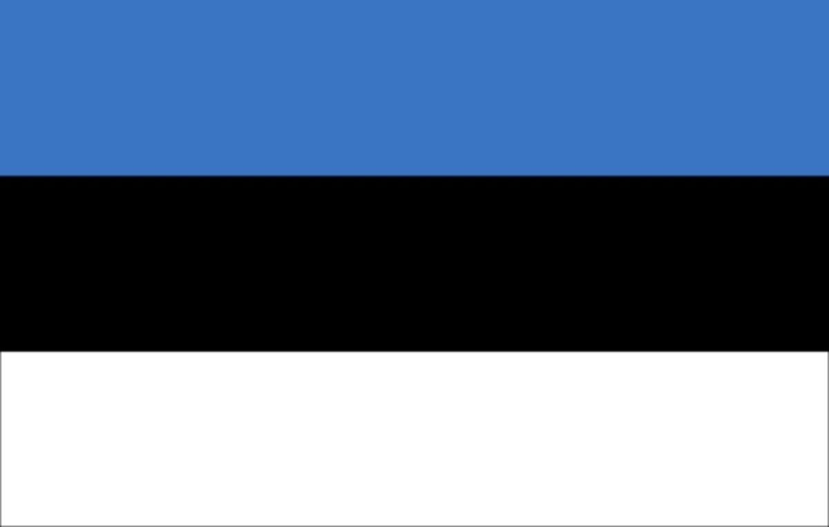 Estonia: Leading the Way in e-Government