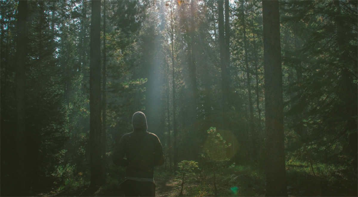 Liberosis: The Yearning to be Free