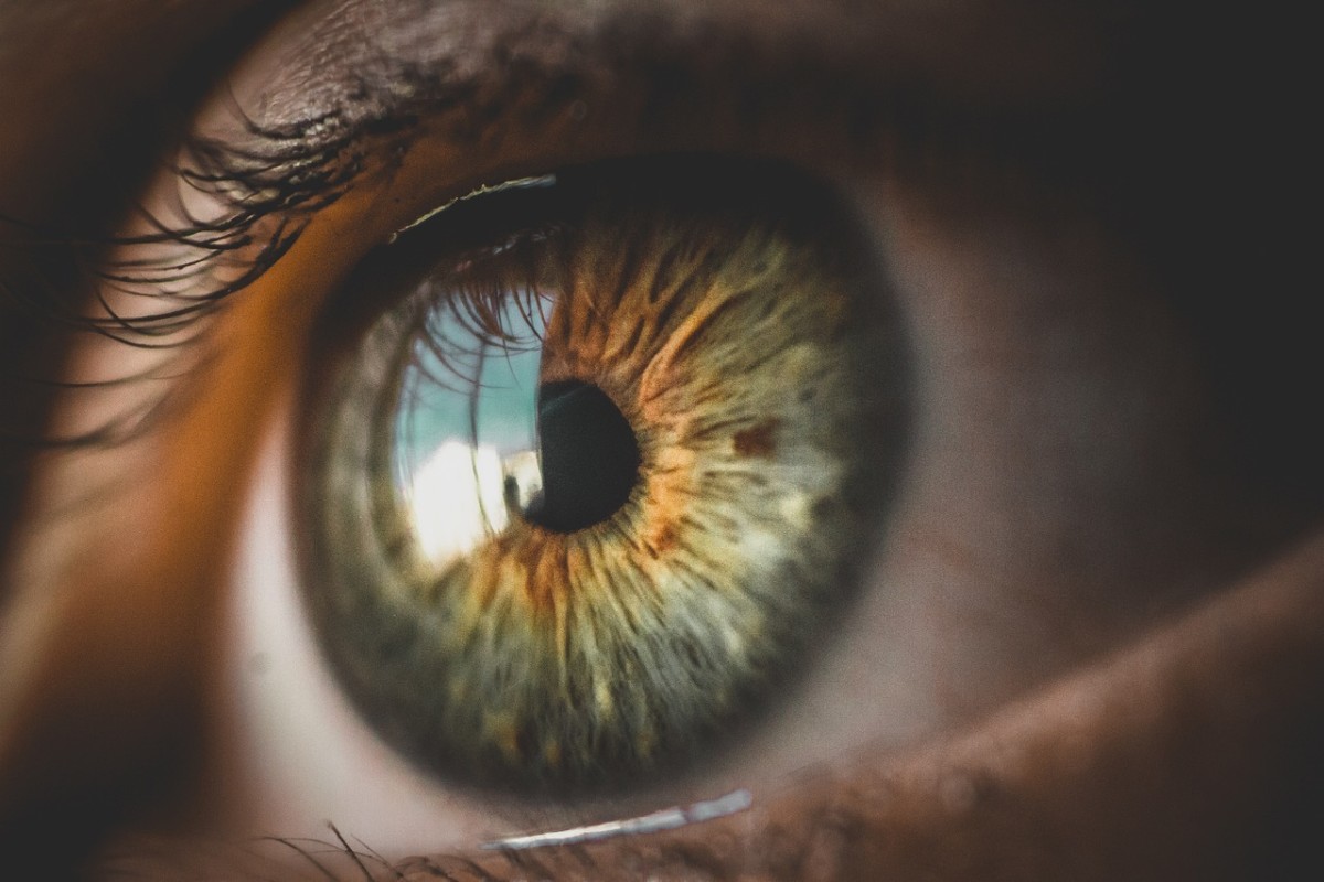 Could You Be Hypnotised and What Would That Mean?