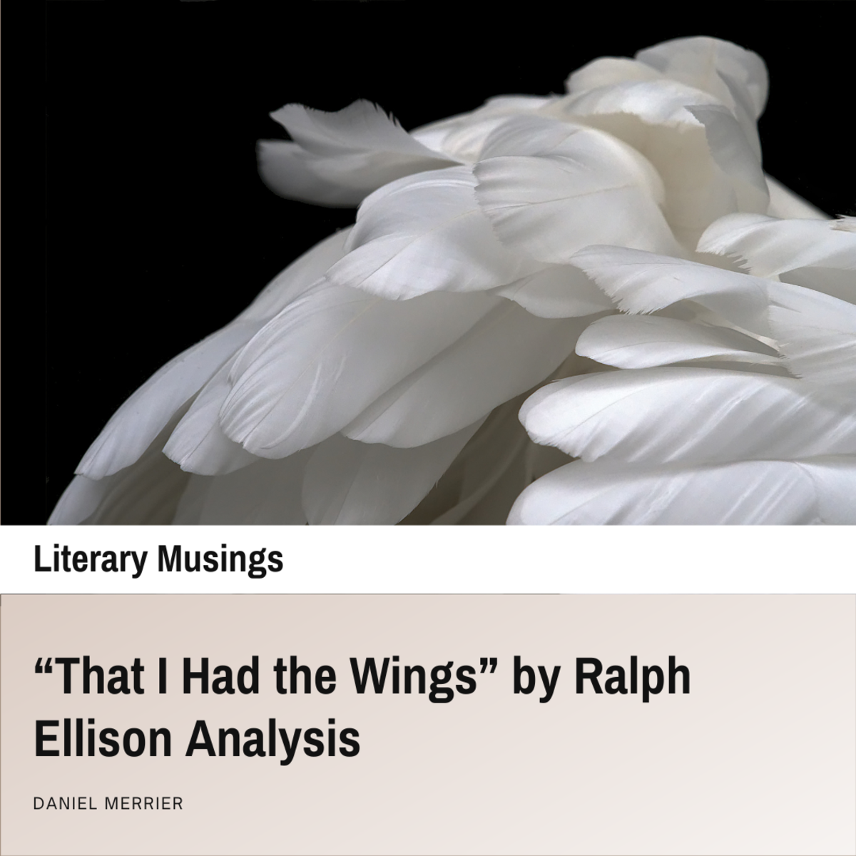 “That I Had the Wings” by Ralph Ellison Analysis