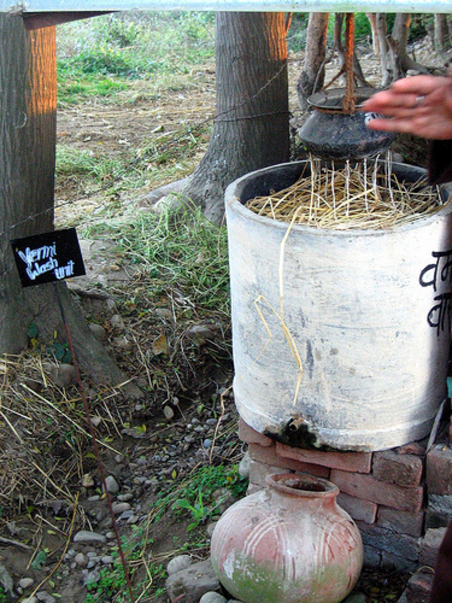 Making worm tea with improvised materials