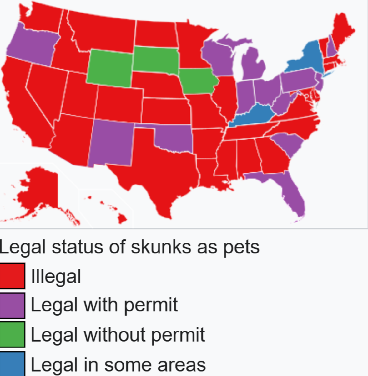 Is it Legal to Own a Pet Skunk? HubPages