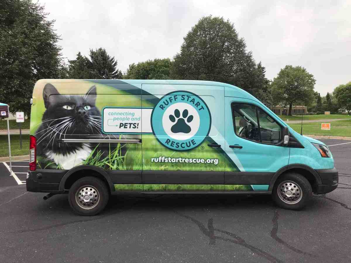 Should Your Business Invest In Vehicle Wraps?