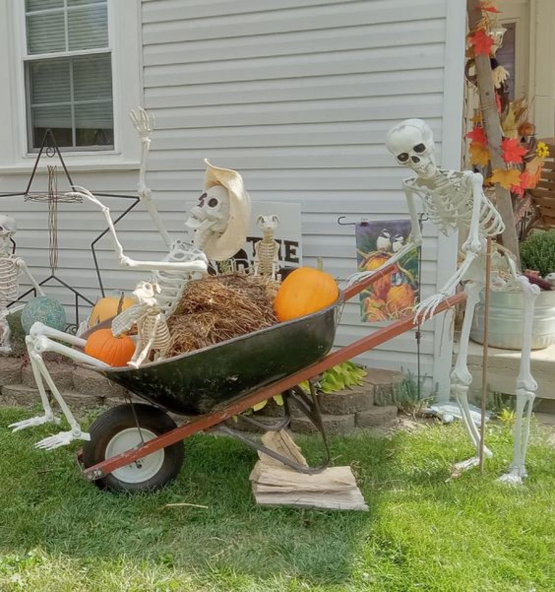 40+ Spooktastic Skeleton Halloween Decoration Ideas for Front Yard